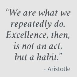 Quote: We are what we repeatedly do. Excellence, then,is not an act,but a habit. - Aristotle