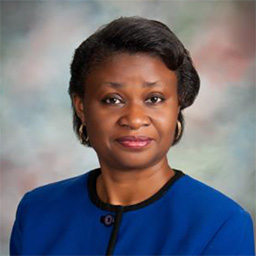 Adewunmi (Ade) Lewis Bio Adewunmi (Ade) Lewis