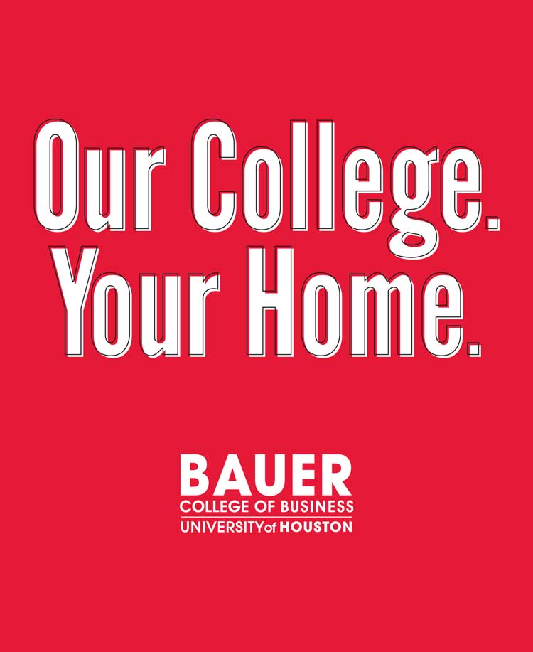 bauer college of business degree plan