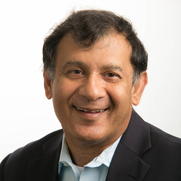 Praveen Kumar, Cullen Distinguished Chair and Professor of Finance