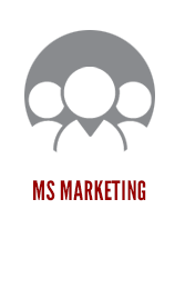 Master of Science in Marketing