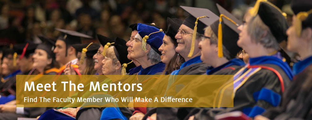 Meet The Mentors