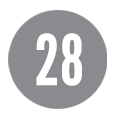 Average Age: 28