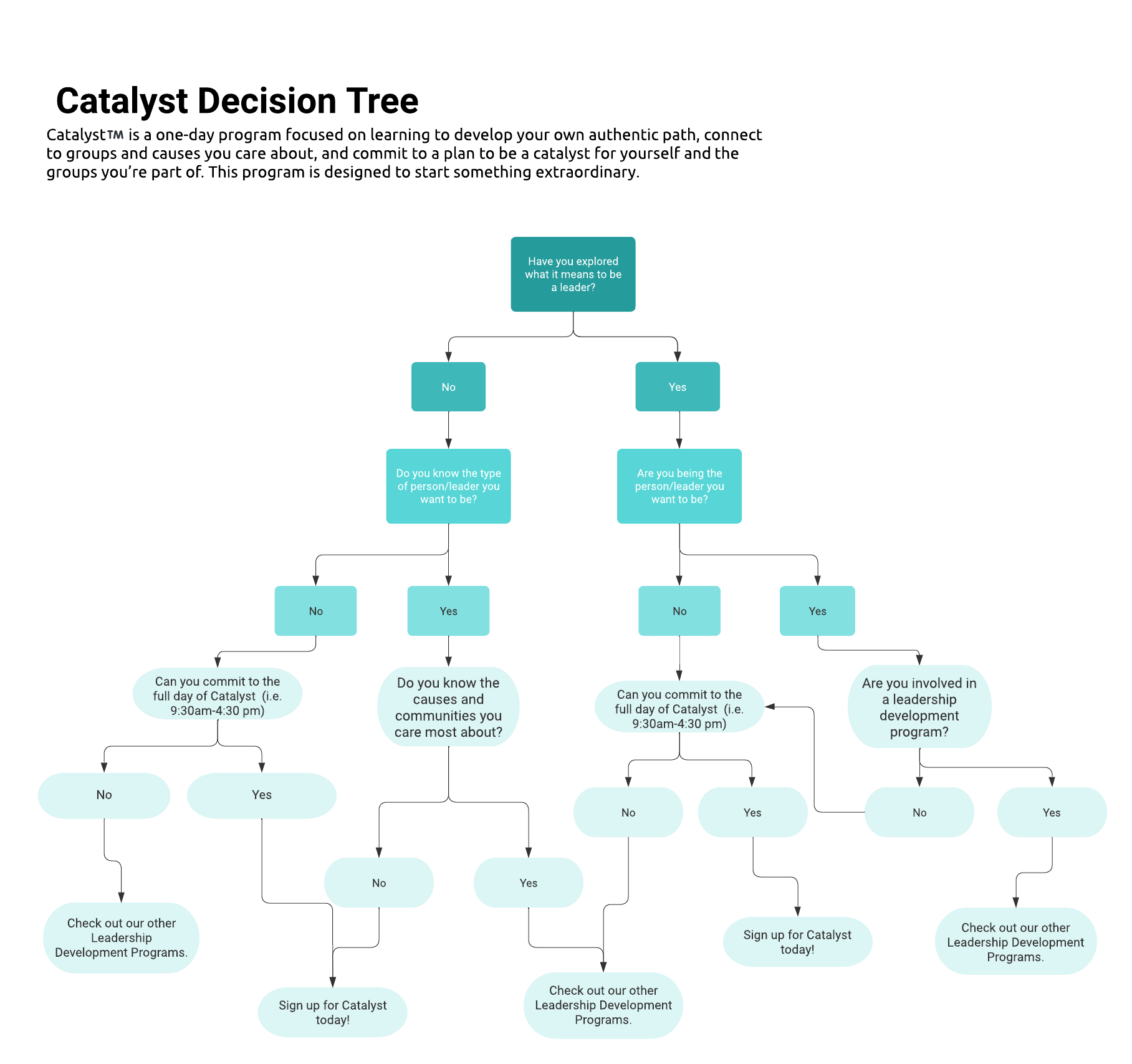 Is Catalyst right for you? This image of a decision tree helps one decide.