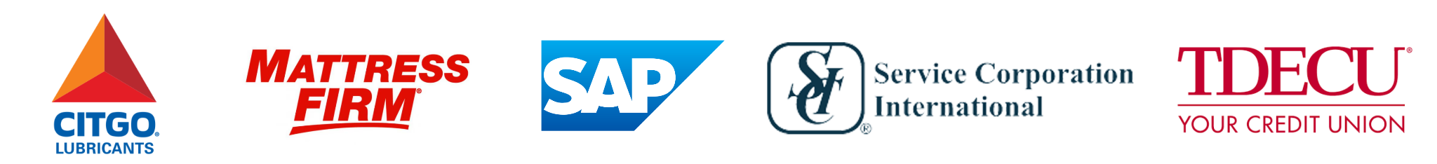 Strategic Partner Logos