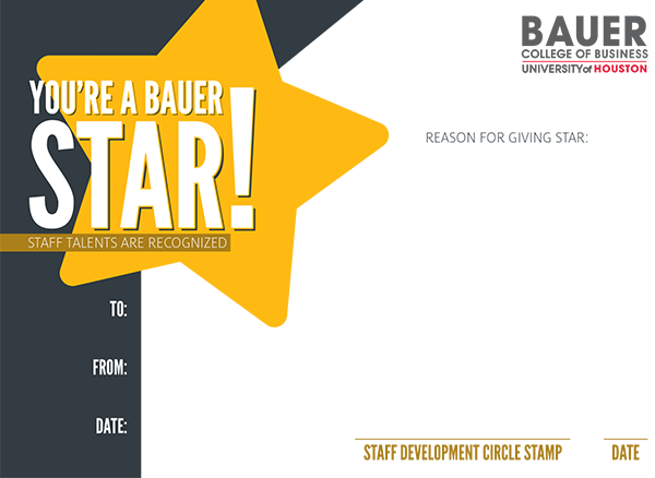 Bauer STAR 2