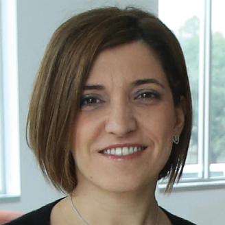 Funda Sahin, associate professor of
decision & information sciences