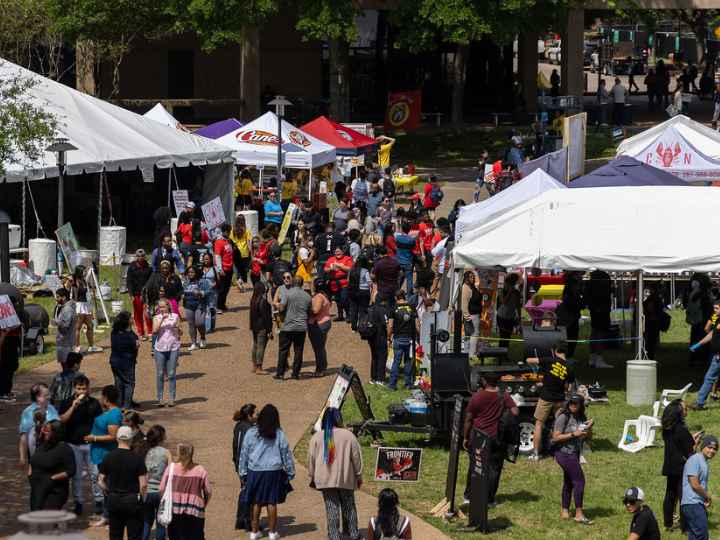 Photo: Overhead shot from Wolffest 2023