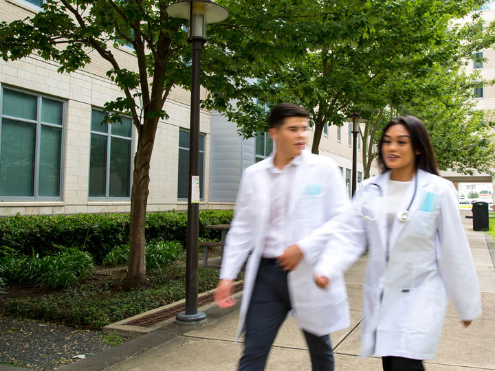Collaborative Opportunities in Healthcare