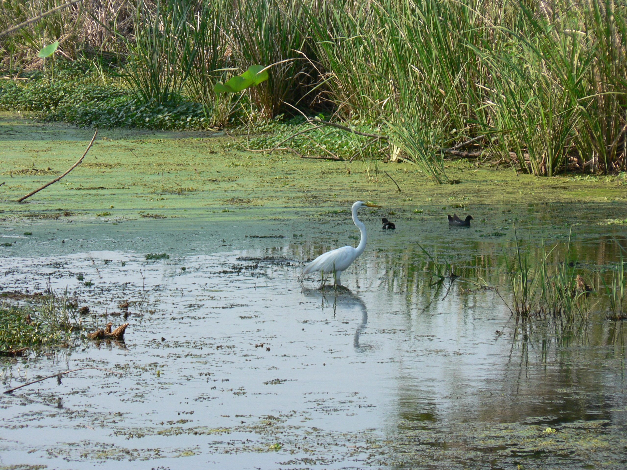 Picture of
a 2006 June UH outing