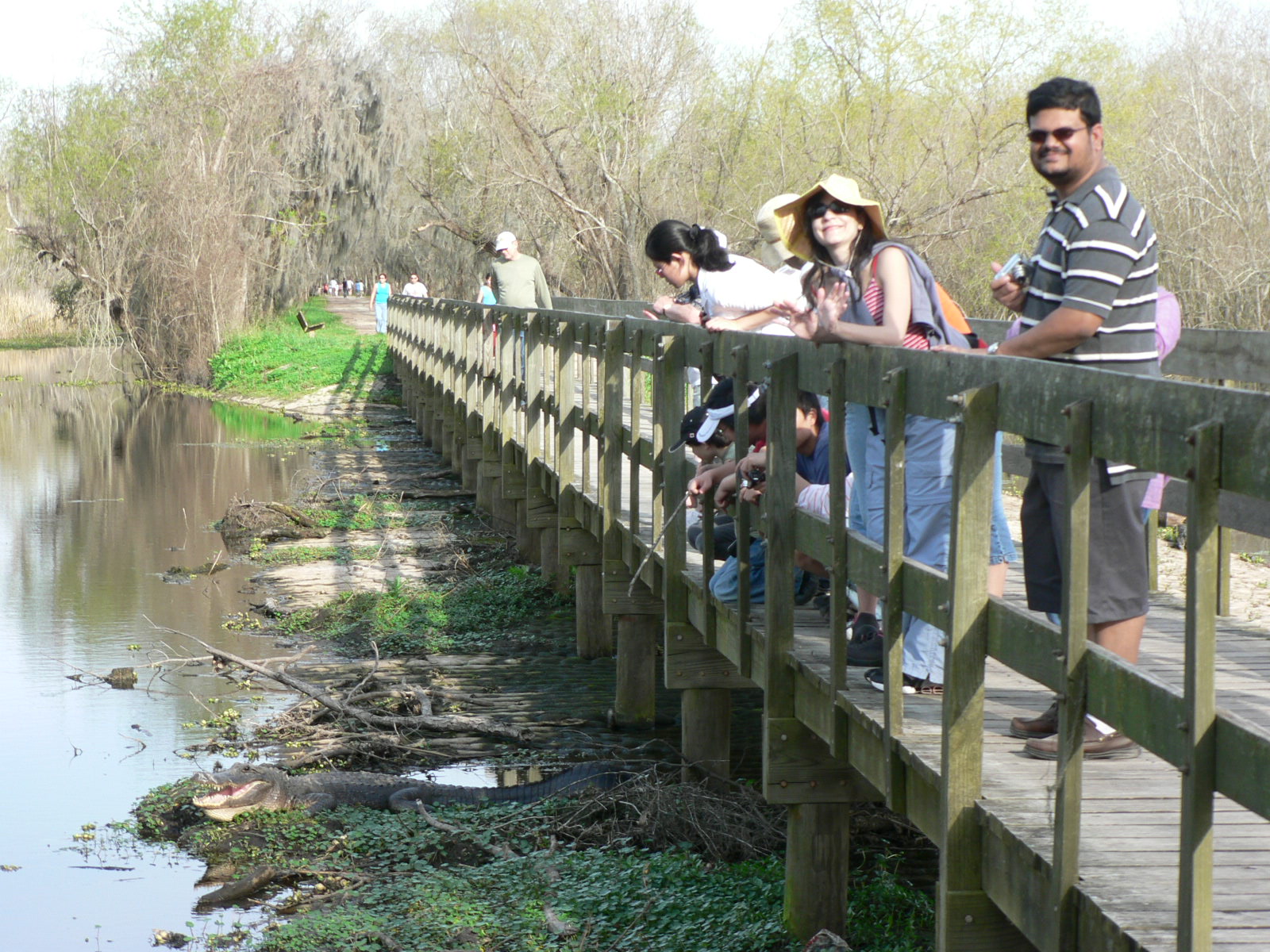 Picture of
a 2007 March UH outing