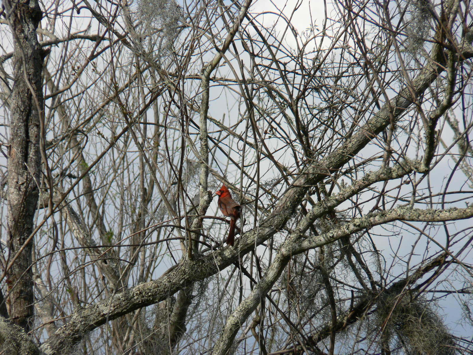 Picture of
a 2007 March UH outing