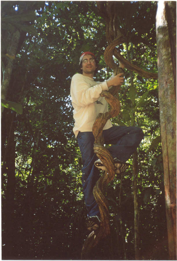[Image of Tarzan]